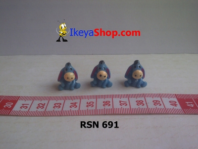 rsn 691  large2